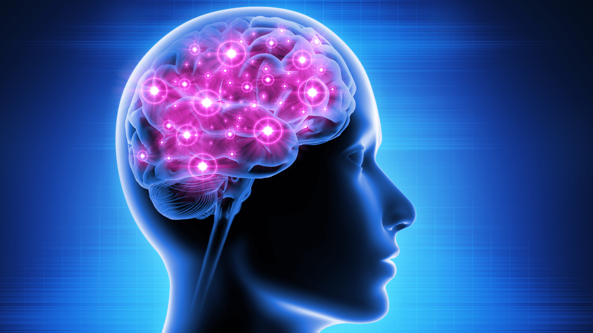 brain-2048x1152 brain-2048x1152